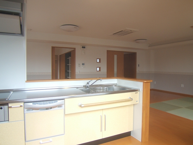 Kitchen. Dishwasher system Kitchen. IH correspondence.