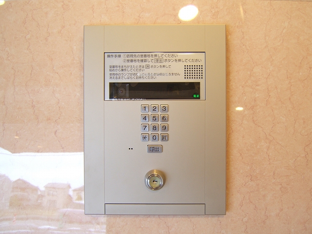 Entrance. auto lock. TV monitor with intercom.