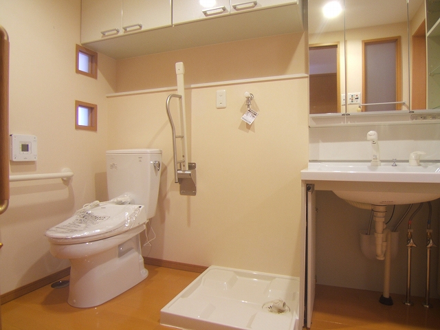 Washroom. Automatic opening and closing toilet. Shampoo dresser.