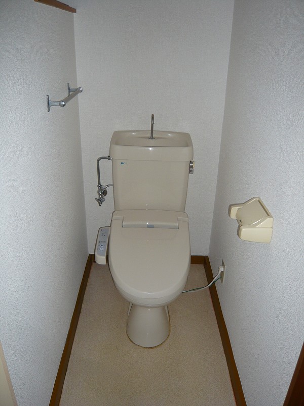 Toilet. Hot water washing washer toilet. There windows survive in ventilation.