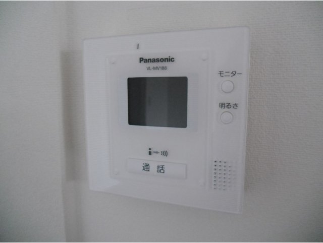 Security. Intercom with TV monitor