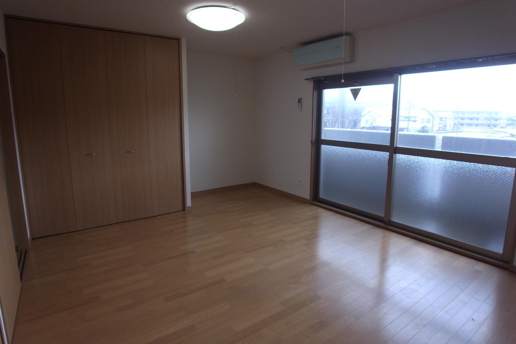 Living and room. LDK space