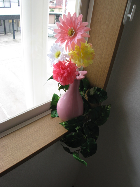 Other room space. Produce a soft space to place the plant.