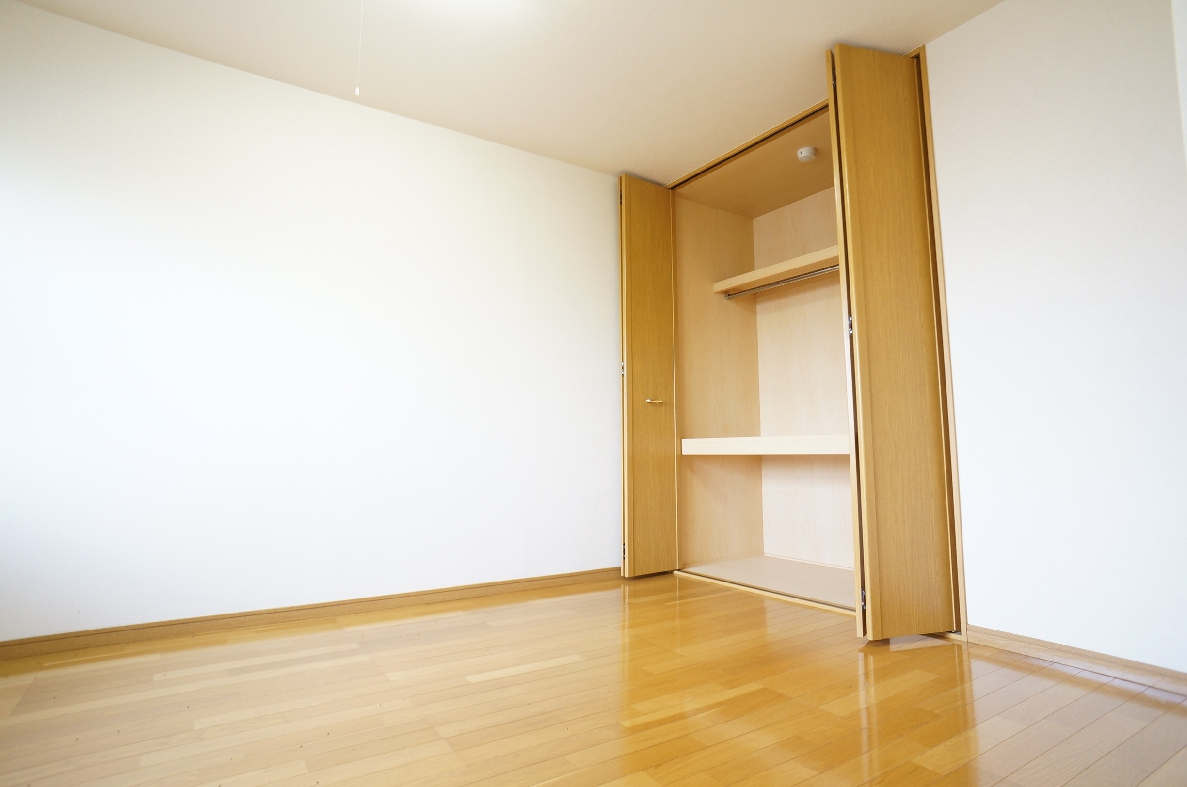 Living and room. Western-style housing