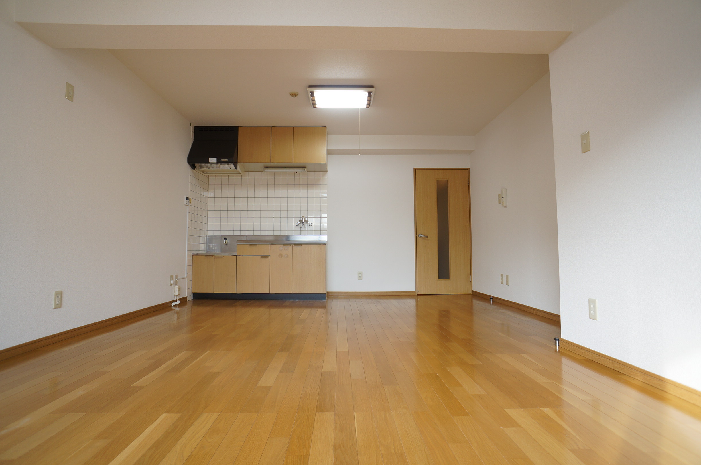 Kitchen. Living space