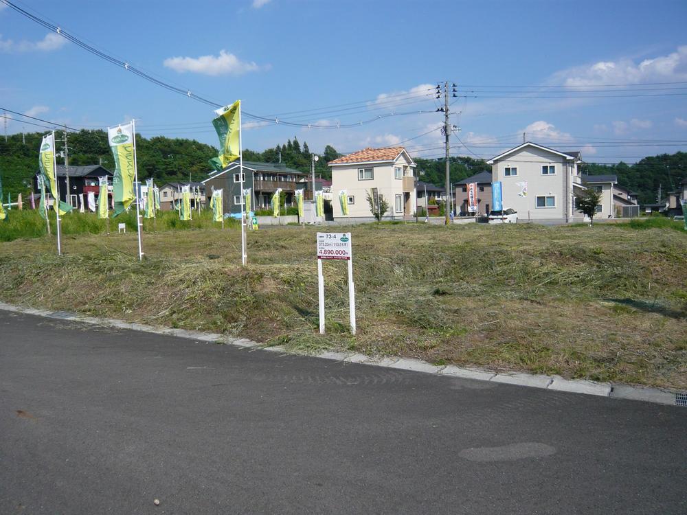 Local photos, including front road