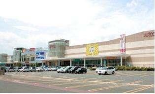 Supermarket. 1400m to Aeon Mall Morioka