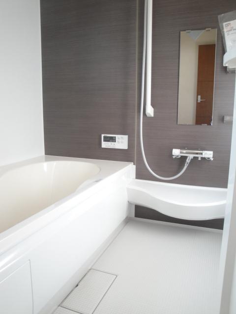 Bathroom. Indoor (10 May 2013) Shooting