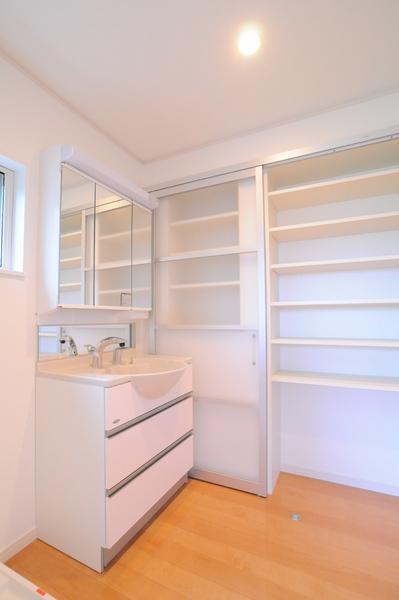 Wash basin, toilet. Bright high cleanliness vanity room