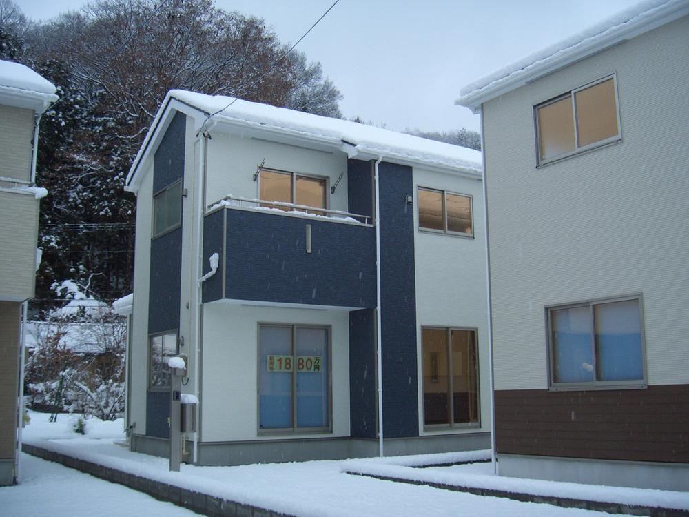 Local appearance photo. local