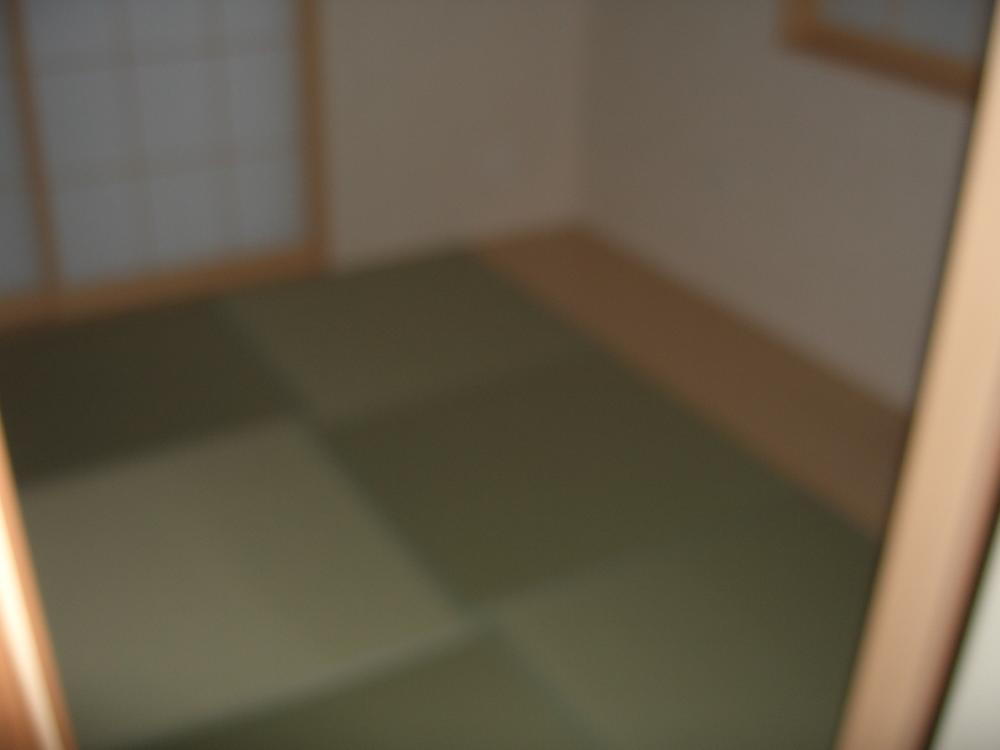 Other introspection. Japanese style room