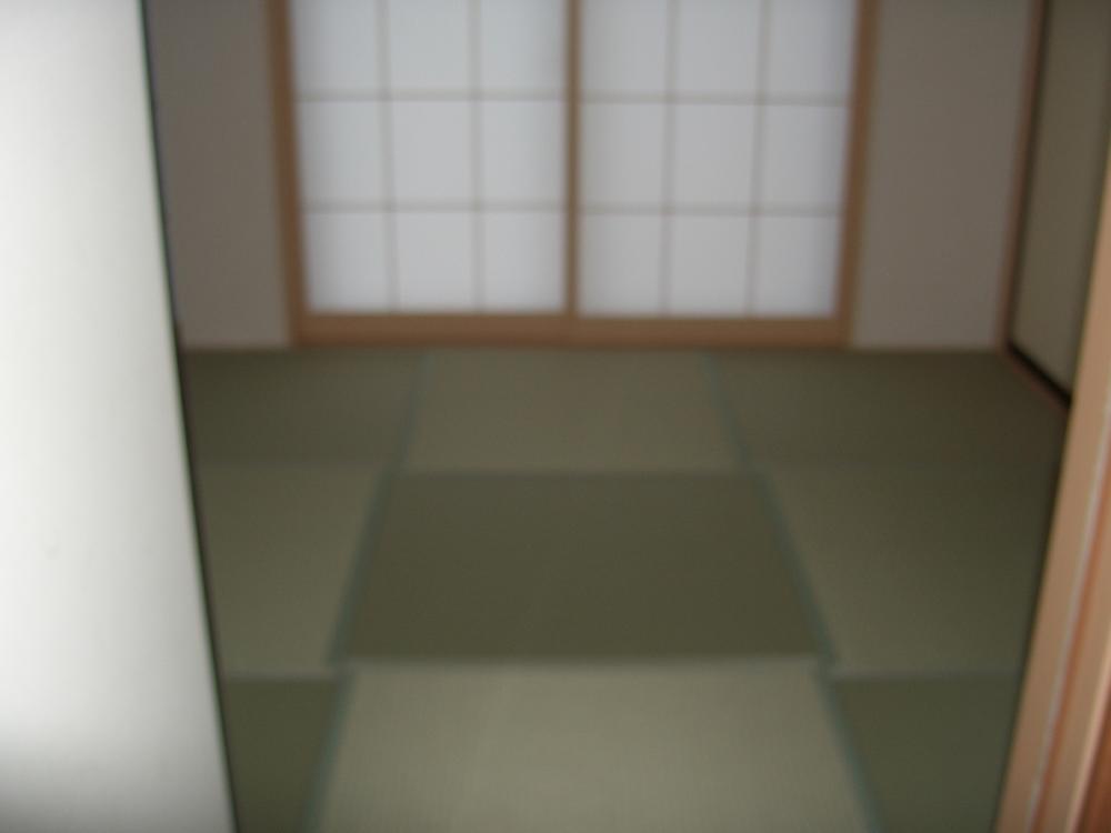 Other introspection. Interior