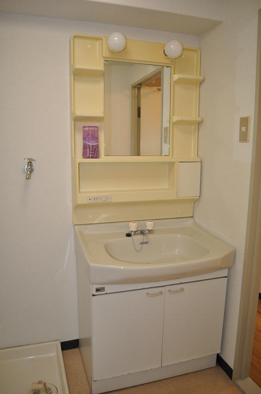 Washroom. Bathroom vanity