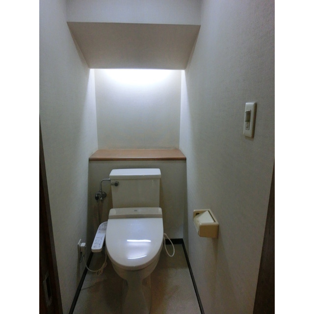Toilet