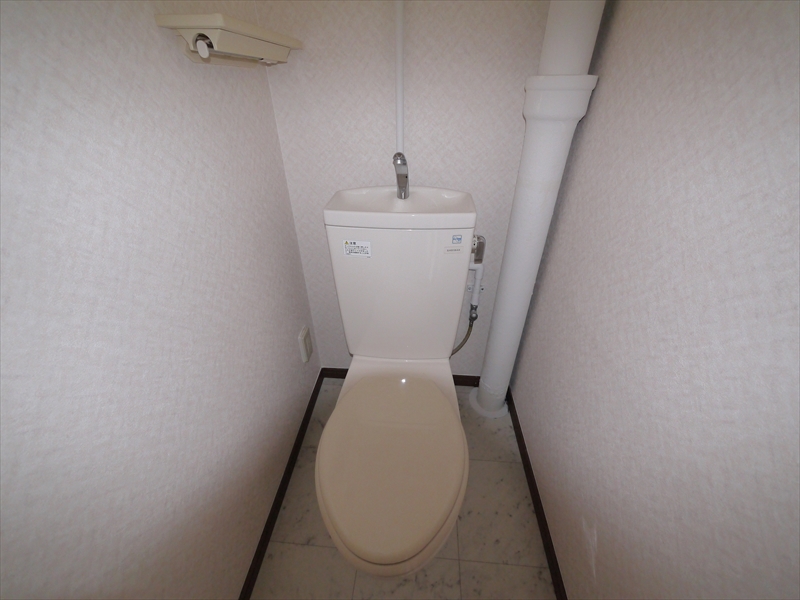 Other. The same type: It is a photograph after Rifuomu.