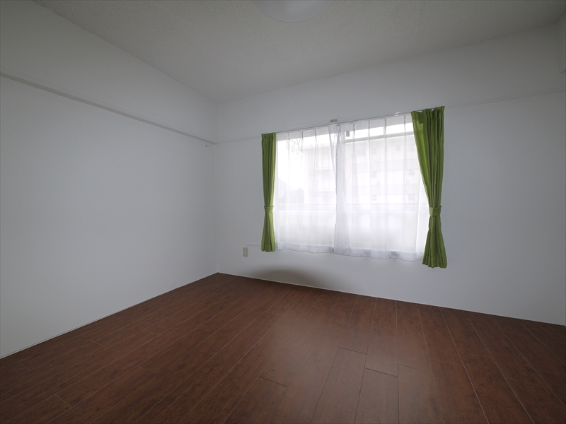 Other. The same type: It is a photograph after Rifuomu.