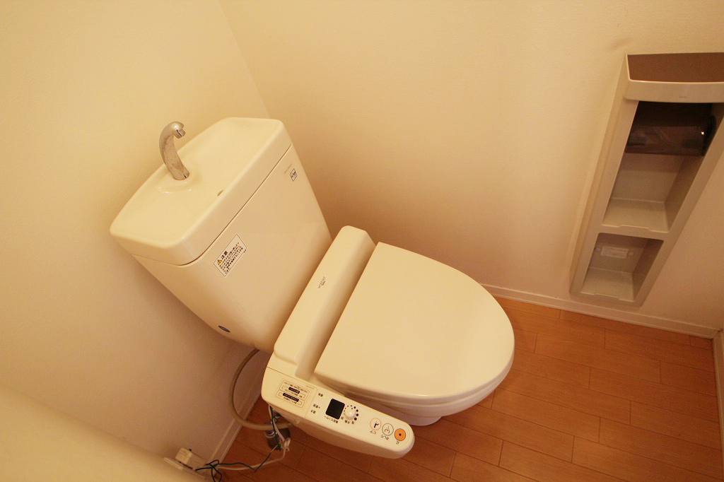 Toilet. It is a reference photograph of the inverted type