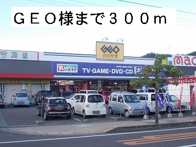 Rental video. 300m to GEO (video rental)