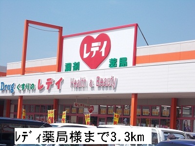 Dorakkusutoa. Lady 3300m until the pharmacy (drugstore)