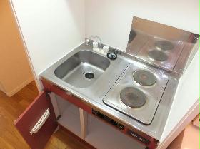 Kitchen. Different stove types depending on your room.