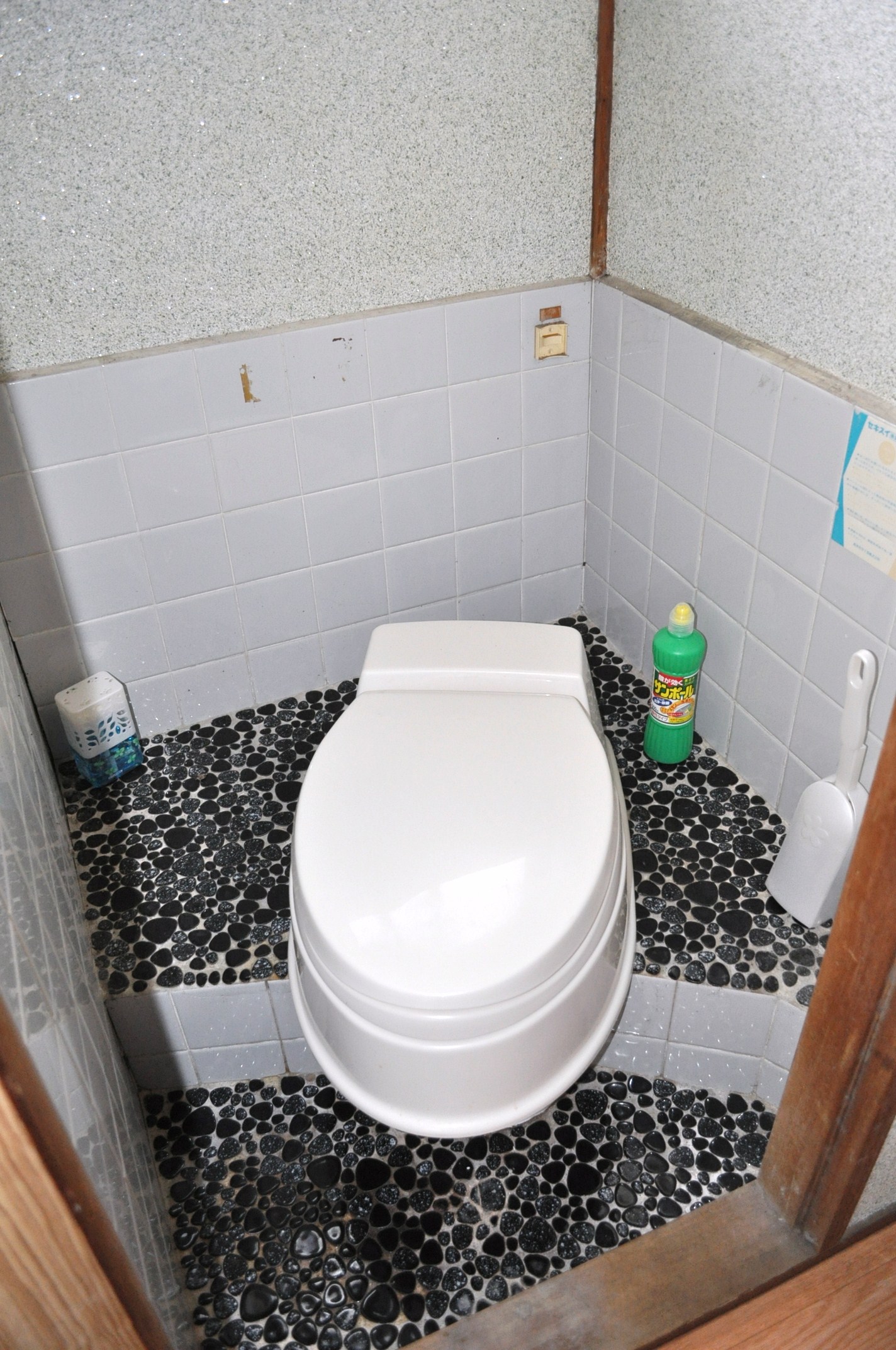 Toilet. Western-style toilet bowl of the toilet (Kumitori type)