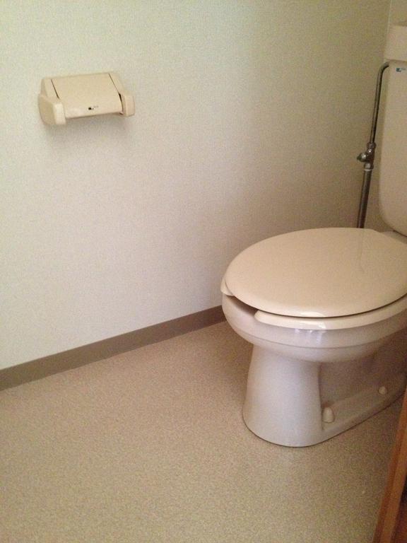 Toilet. Disinfected Western Toilet