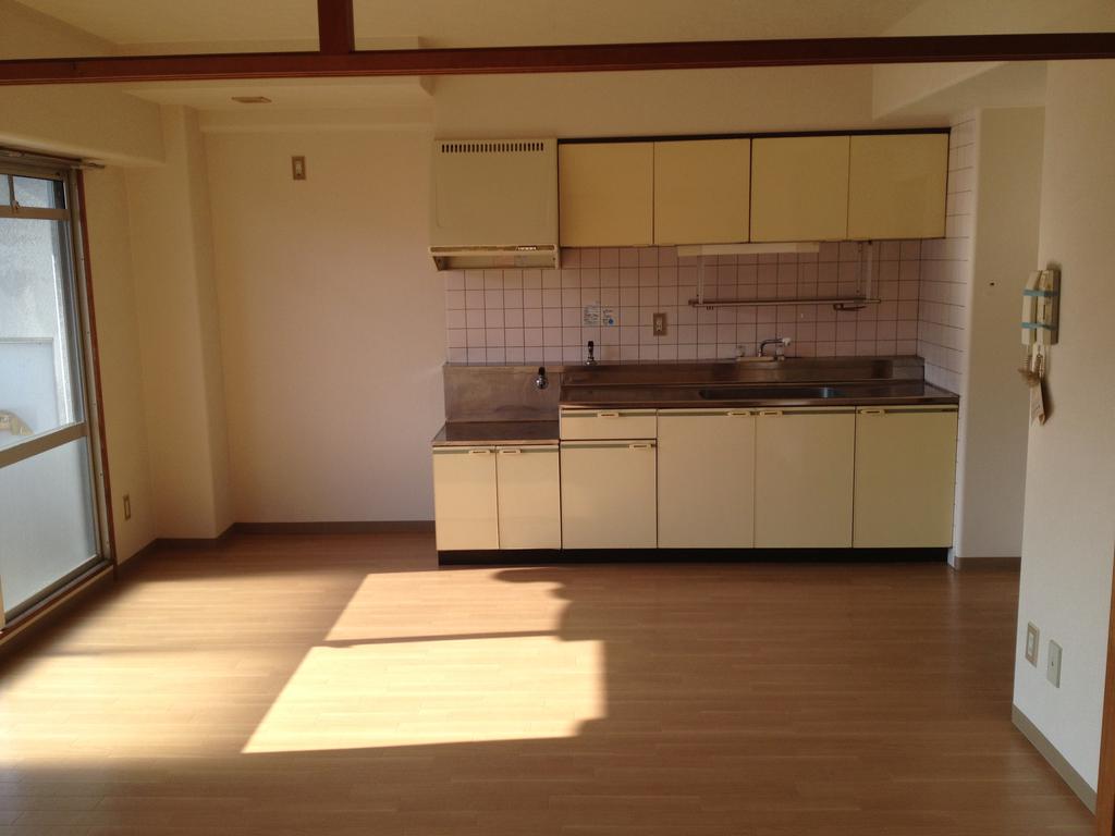 Kitchen. Flooring of DK