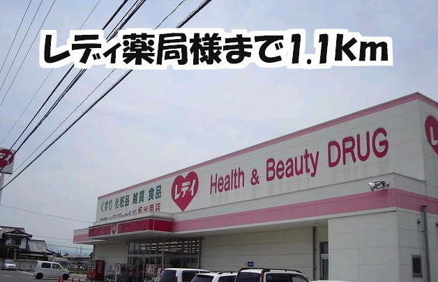 Dorakkusutoa. Lady 1100m until the pharmacy (drugstore)