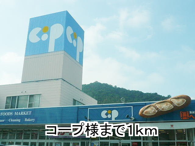 Supermarket. 1000m to the Co-op (super)