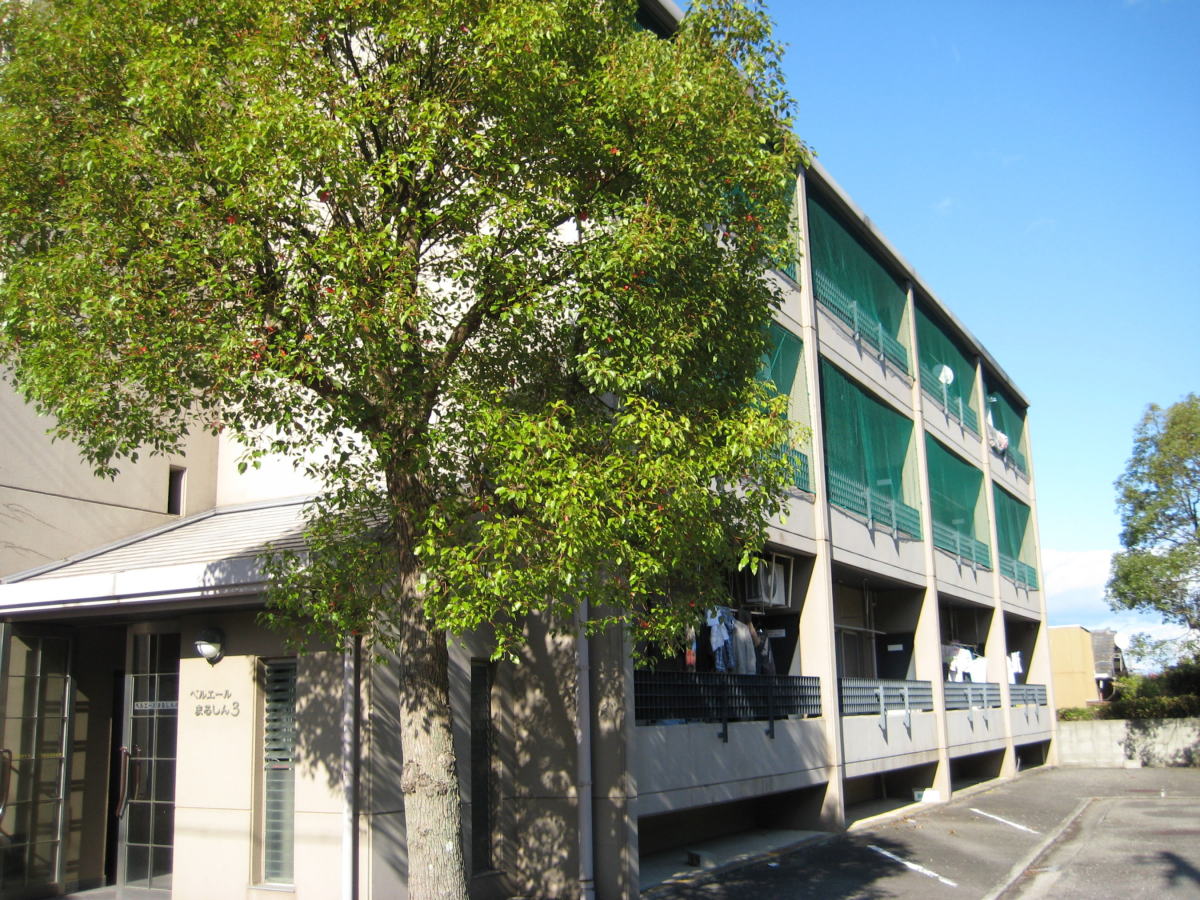 Building appearance