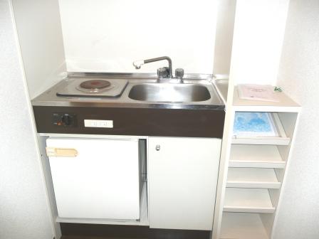 Kitchen. Fridge