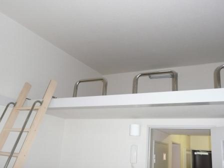 Other. 3 Pledge with loft