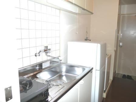 Kitchen. Fridge, With washing machine