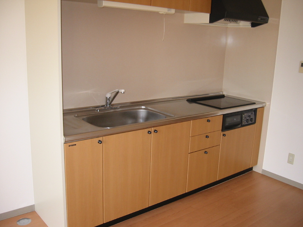 Kitchen. IH cooking heater adoption of the system kitchen.