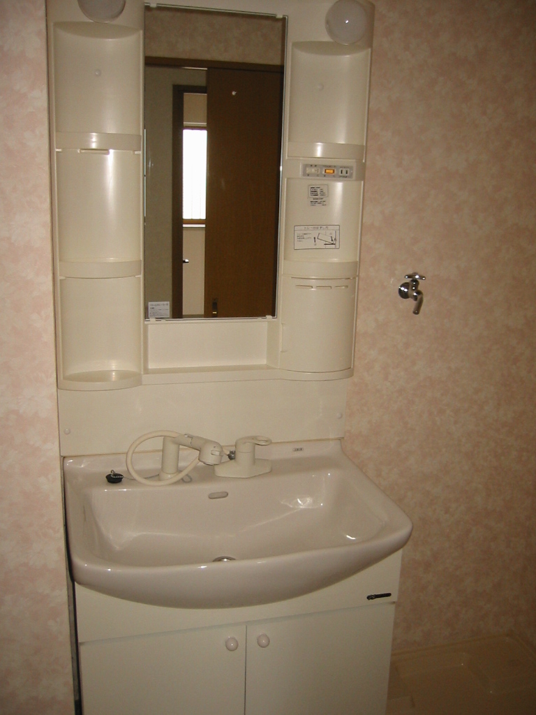 Washroom. Vanity shower.