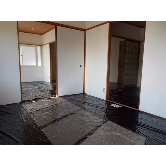 Living and room. room