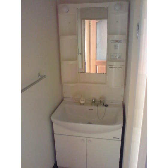 Washroom. Shampoo dresser