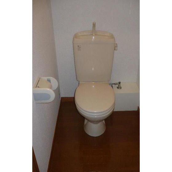 Toilet. Toilet