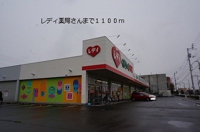 Dorakkusutoa. Lady 1100m until the pharmacy (drugstore)