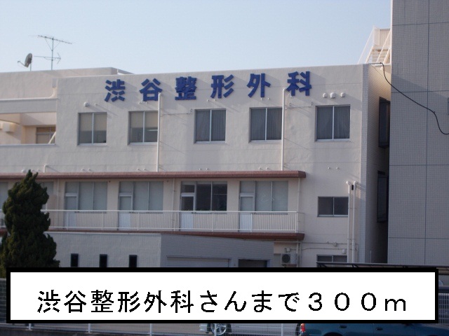 Hospital. 300m to Shibuya orthopedic (hospital)