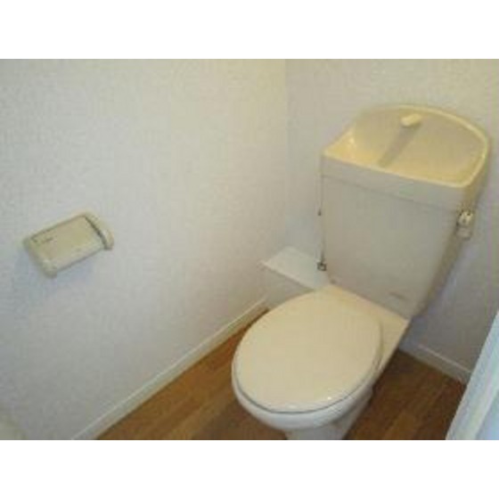 Toilet. Toilet