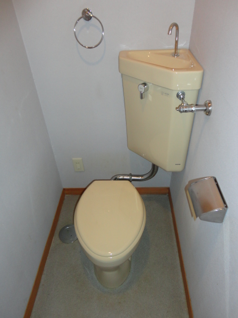 Toilet