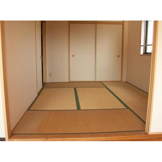 Other room space. Japanese style room