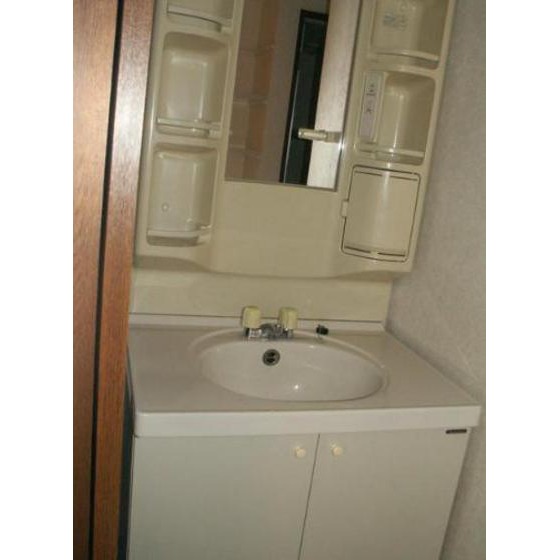 Washroom. Shampoo dresser