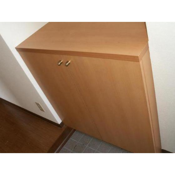 Entrance. Shoes case