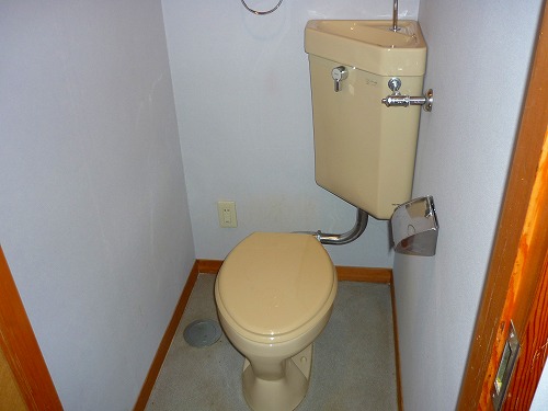 Toilet