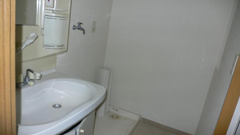 Washroom. Shampoo dresser