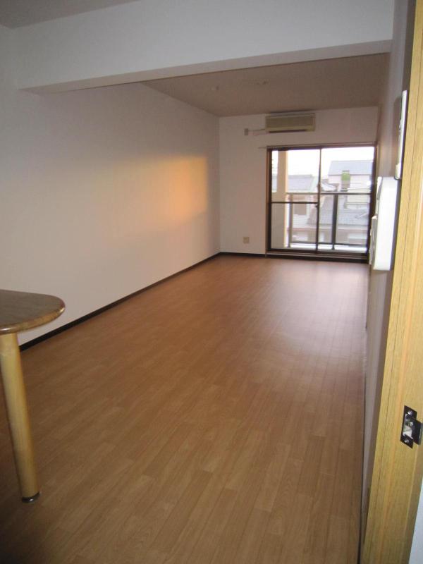 Living and room. Large living