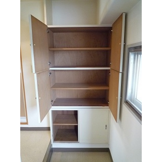 Entrance. Shoes case