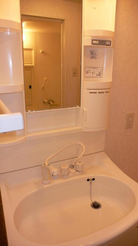 Washroom. Shampoo dresser